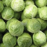 Капуста.капуста.Капуста.Агресор