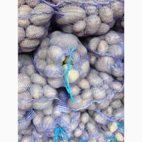 Продам є доставка за домовленістю