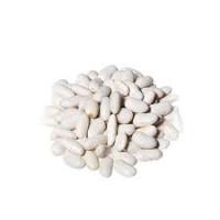 Закупка квасолі на консервування