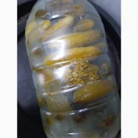 Продам Кислі огірки