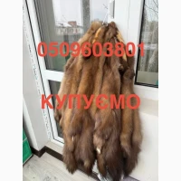 Куплю шкури куниці хутро куниць бобра видри
