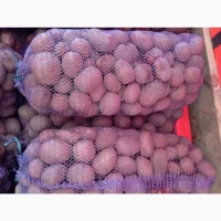 Продам Товарну Картоплю сорт Бела роса