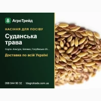 Пр0двм нвсіння судвнськ0ї трв8и - Альтур0, 6іля8кв, Г0лу6і8ськв 25