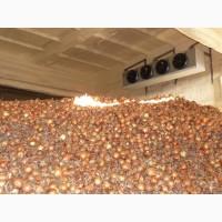 Овочесховище. Обладнання для зберігання овочів