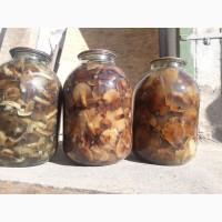 Продам Опеньки