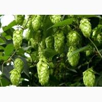 Линия гранулирования хмеля MGL 200CH / MGL 400 CH / MGL 600 CH / MGL 800 CH