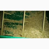 Линия гранулирования хмеля MGL 200CH / MGL 400 CH / MGL 600 CH / MGL 800 CH