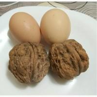 Продам саженцы Иван Багряний, Идеал, Кочерженко