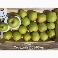 Постійно продаю яблука в асортименті