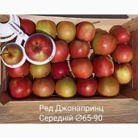 Постійно продаю яблука в асортименті