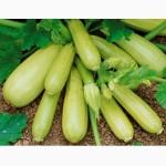 Купим оптом кабачок