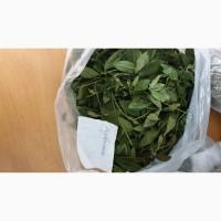 Продам лекарственные травы