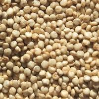 Кіноа біла натуральна (Україна, свіжий врожай)