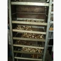 Гриби польські сушені - Карпати. Доставка по Києву - безплатно