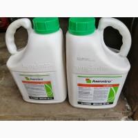 Інсектицид Амплиго, 5 л, Syngenta