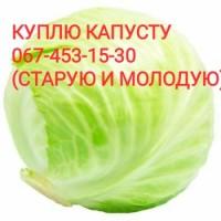Закупаю капусту только оптом