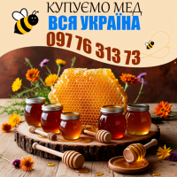 Закупівля меду по всій Україні. Мінімальна партія - 500 кг. Виїзд своїм транспортом