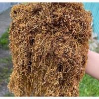 Фабричный табак! Опт розница! Вирджиния, вирджиния голд, мальборо, честер, бонд, кент