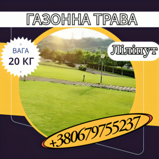 Насіння Газонної трави ліліпут (20 кг). Газонна трава