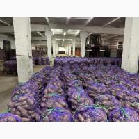 Фермерська картопля, є об#039;єм