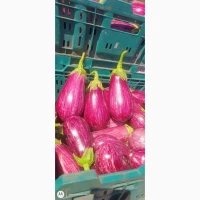 Продам баклажан супер качество
