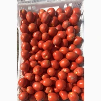 Продам помідор сливка свіжа