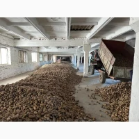 Продам товарну картоплю сорту Доната - відмінна якість та смак