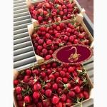 Продаем черешню из Испании