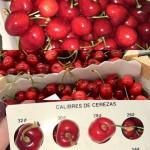 Продаем черешню из Испании