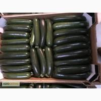 Продаем кабачки из Испании