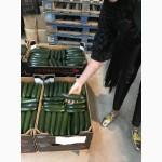 Продаем кабачки из Испании