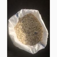 Продам тыквенную семечку