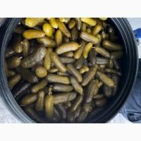 Продам огірки