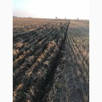 Послуги з прямого посіву, по нулю, Mzuri Pro-Till 4T