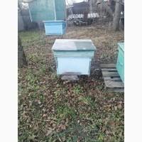 Продам діючу, здорову, пасіку 5 шт., лікувальний вулик та будиночок бджоляра на колесах