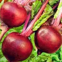 Продам свеклу столовую