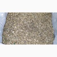 Продам насіння календули