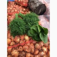 Продам Свежую Зелень