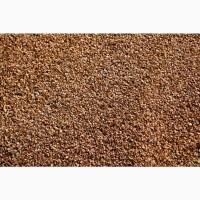 Продам гречку