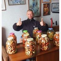 Продам мухомор сухой красный шляпки