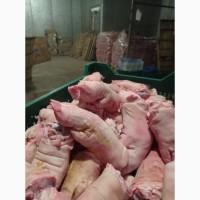 Продам желудки, ноги свиные замороженные