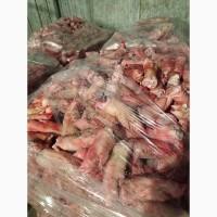 Продам желудки, ноги свиные замороженные