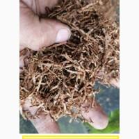 Самосаду нема ! є табаки без пилі і мусора