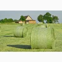 Закуповує Сіно, солому в тюках, різнотрав#039;я, люцерни, ячмінь по всій Україні