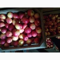 Продам яблука, лігольд, флоріна