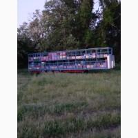 Продам пчелопакеты Карпатка