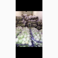 Продам чищеный лук