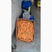 Прямі поставки овочів та фруктів з Туреччини