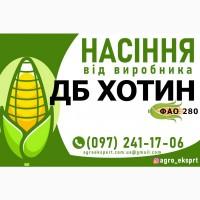 Гібрид кукурудзи ДБ Хотин (ФАО 280). Насіння від виробника