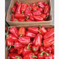 Продам перець Політ